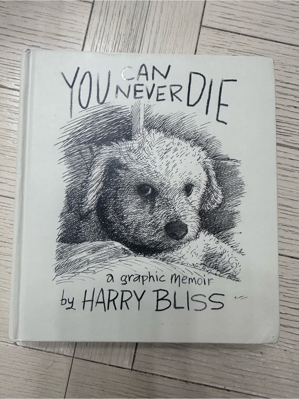 'You Can Never Die hardcover, graphic memoir by Harry Bliss